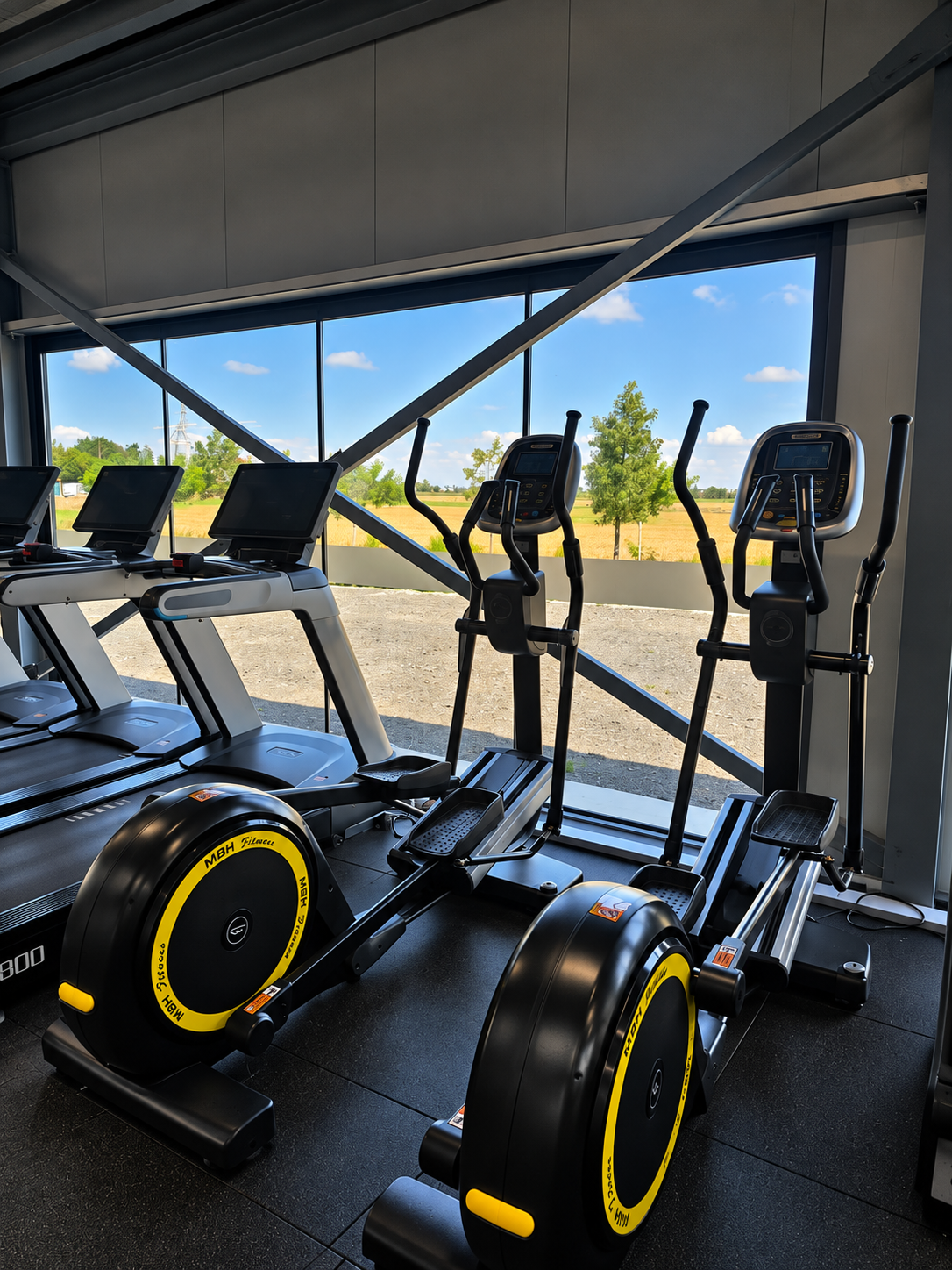 Force Fitness Club rowers and ellipticals